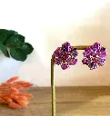 Flamboyantes Multicolore Fushia